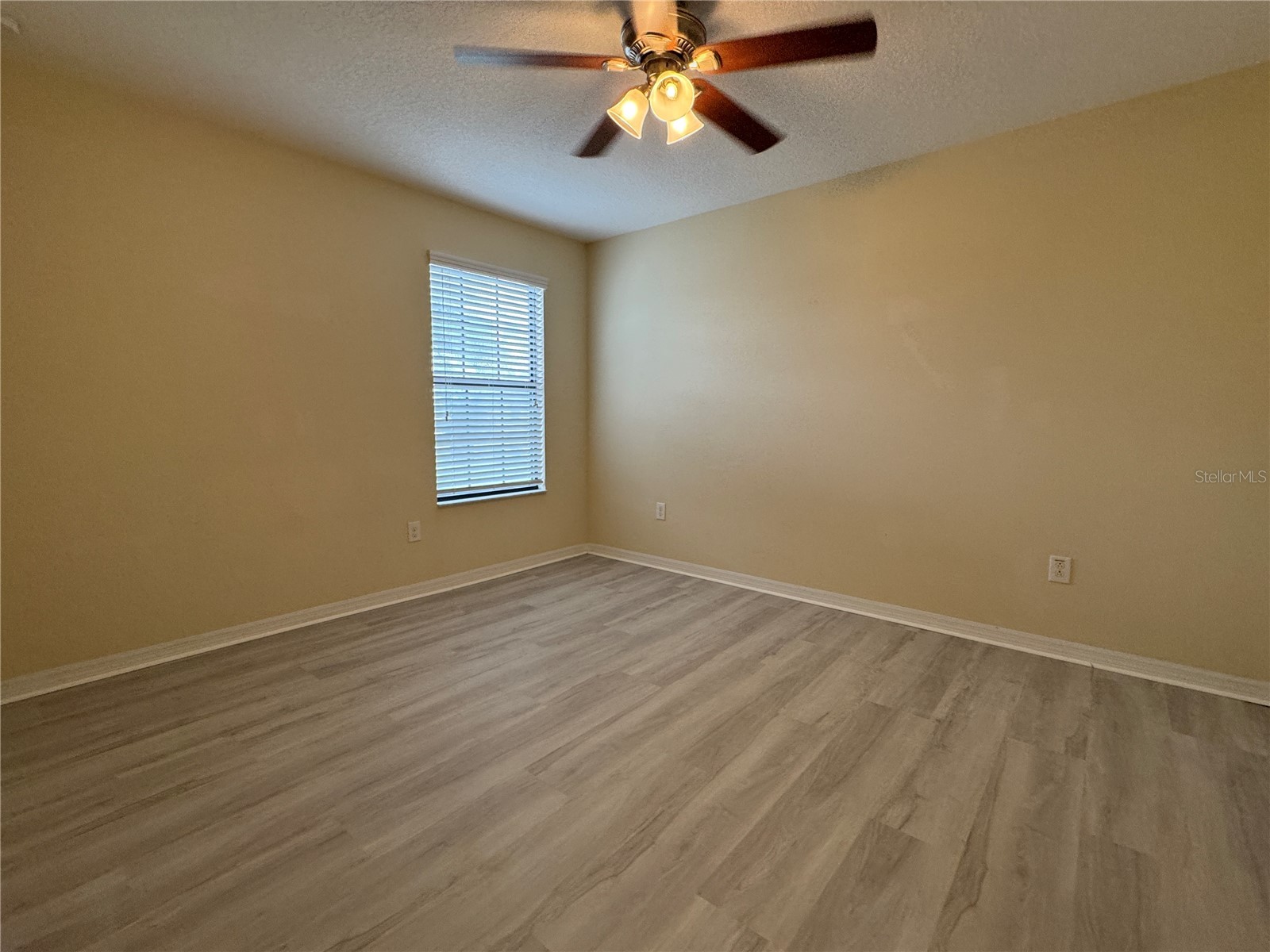 20044 Date Palm Way Tampa FL 33647 TB8500888 image23