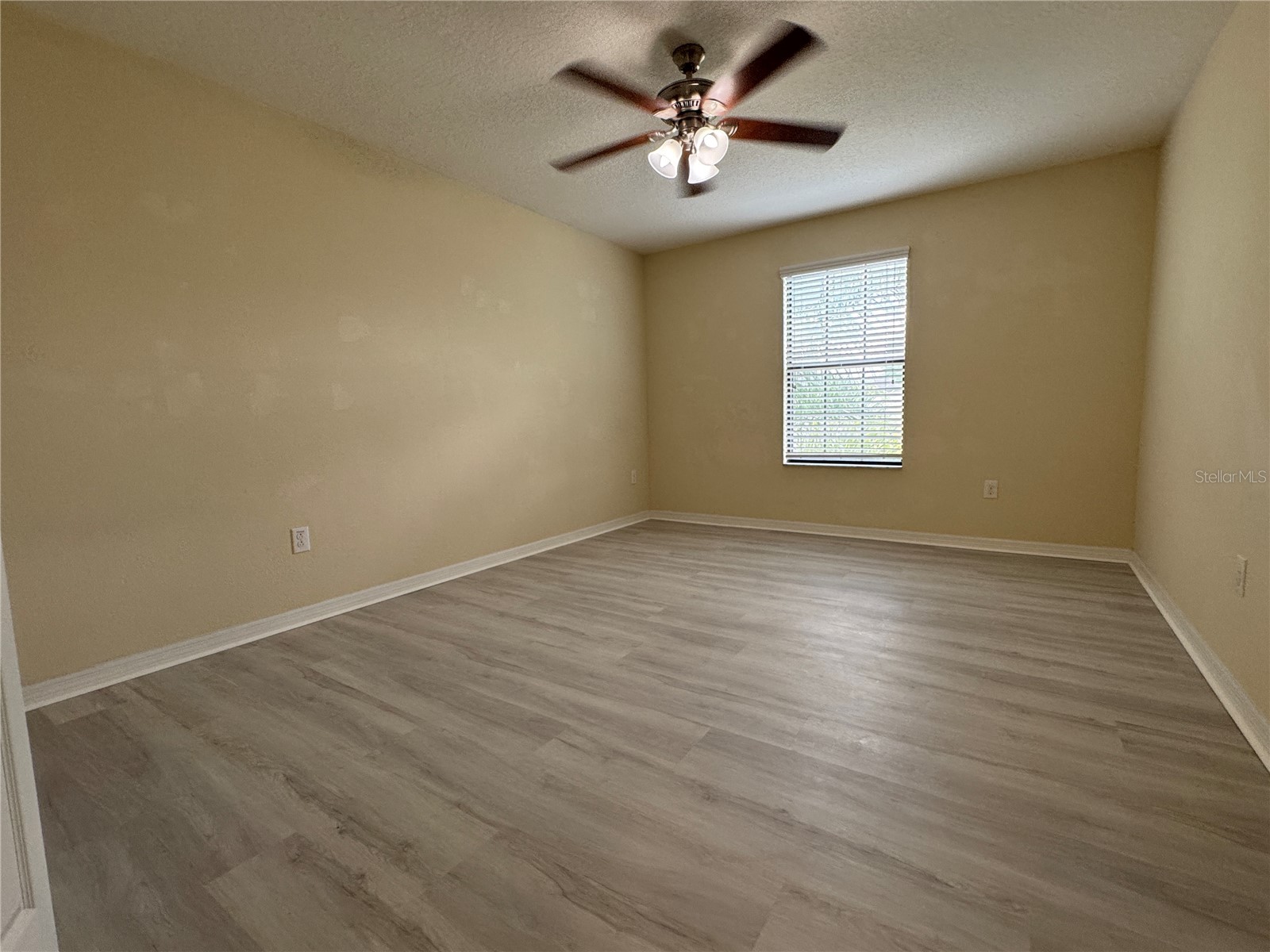 20044 Date Palm Way Tampa FL 33647 TB8500888 image24