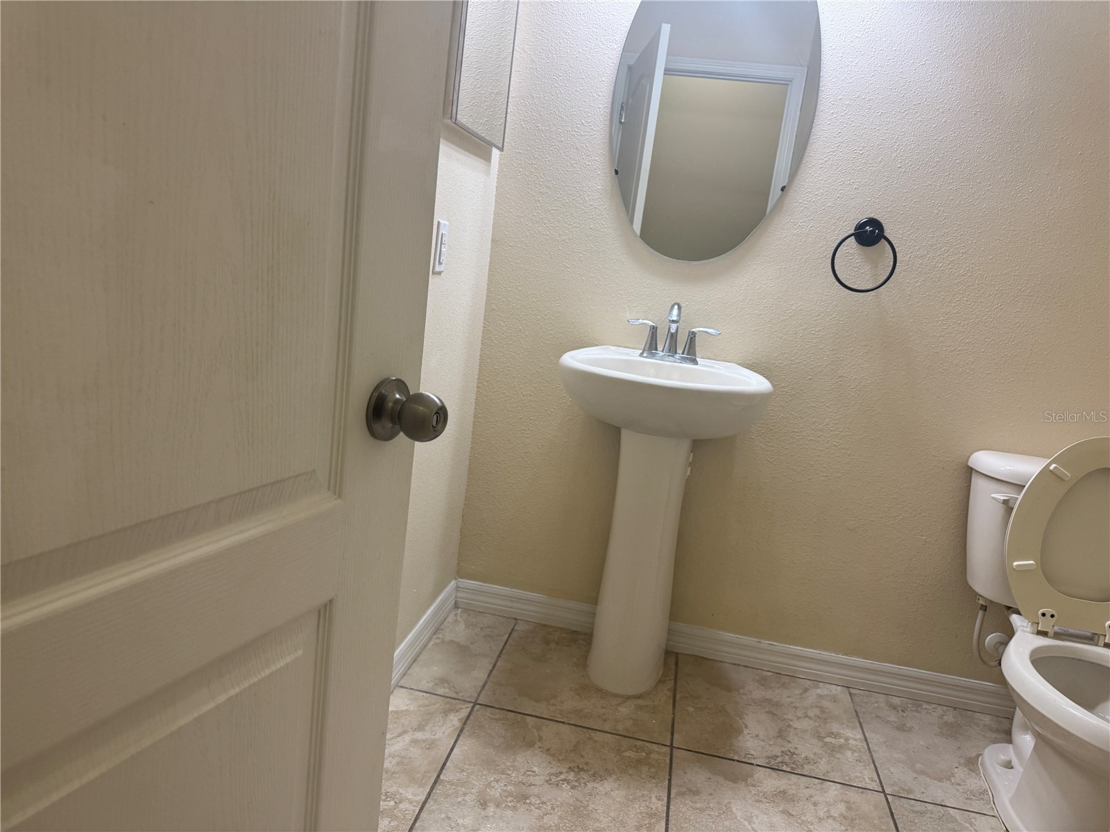 20044 Date Palm Way Tampa FL 33647 TB8500888 image25