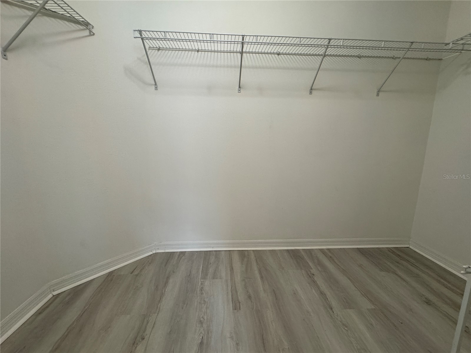 20044 Date Palm Way Tampa FL 33647 TB8500888 image26
