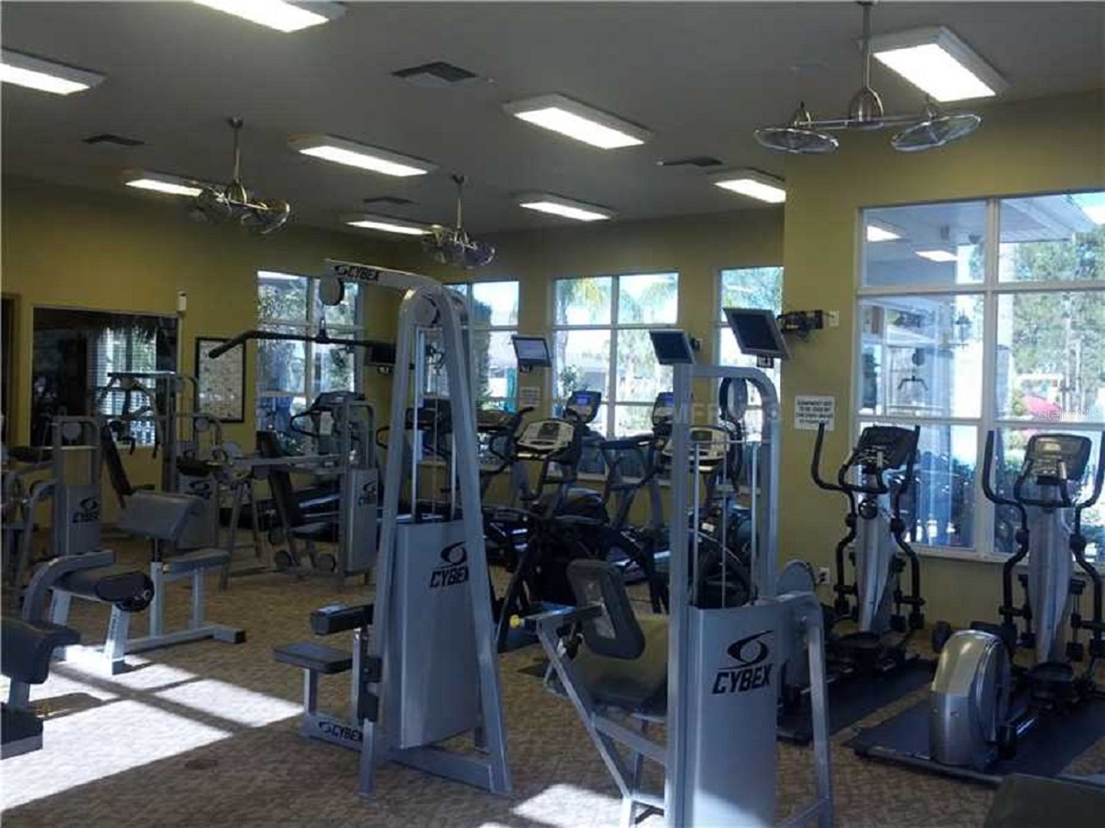 20044 Date Palm Way Tampa FL 33647 TB8500888 image32