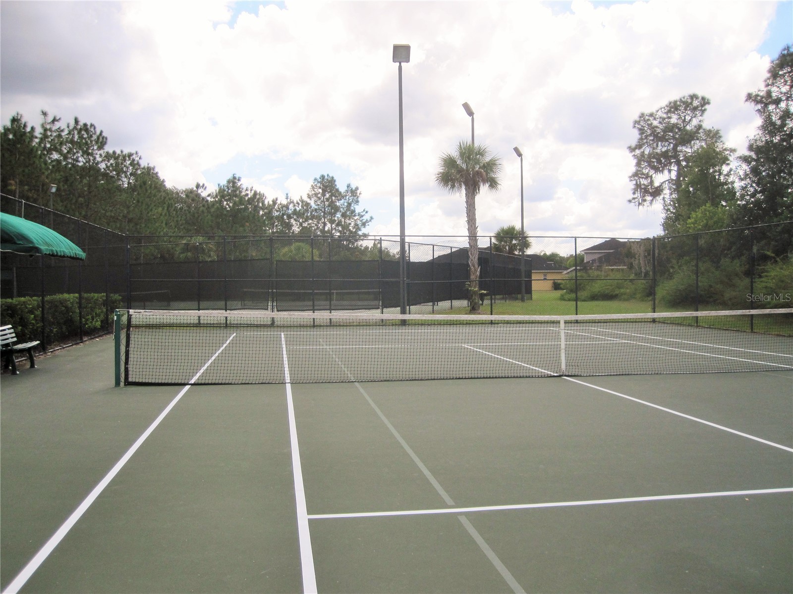 20044 Date Palm Way Tampa FL 33647 TB8500888 image40