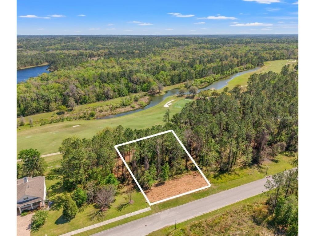 20044 English Walnut Place Brooksville FL 34601 W7873875 image1