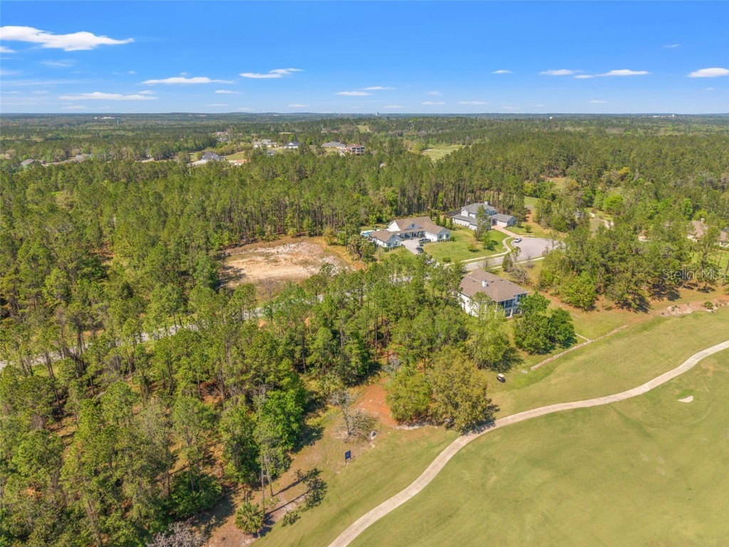 20044 English Walnut Place Brooksville FL 34601 W7873875 image6