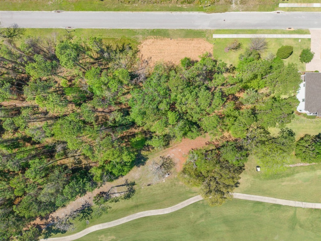 20044 English Walnut Place Brooksville FL 34601 W7873875 image7