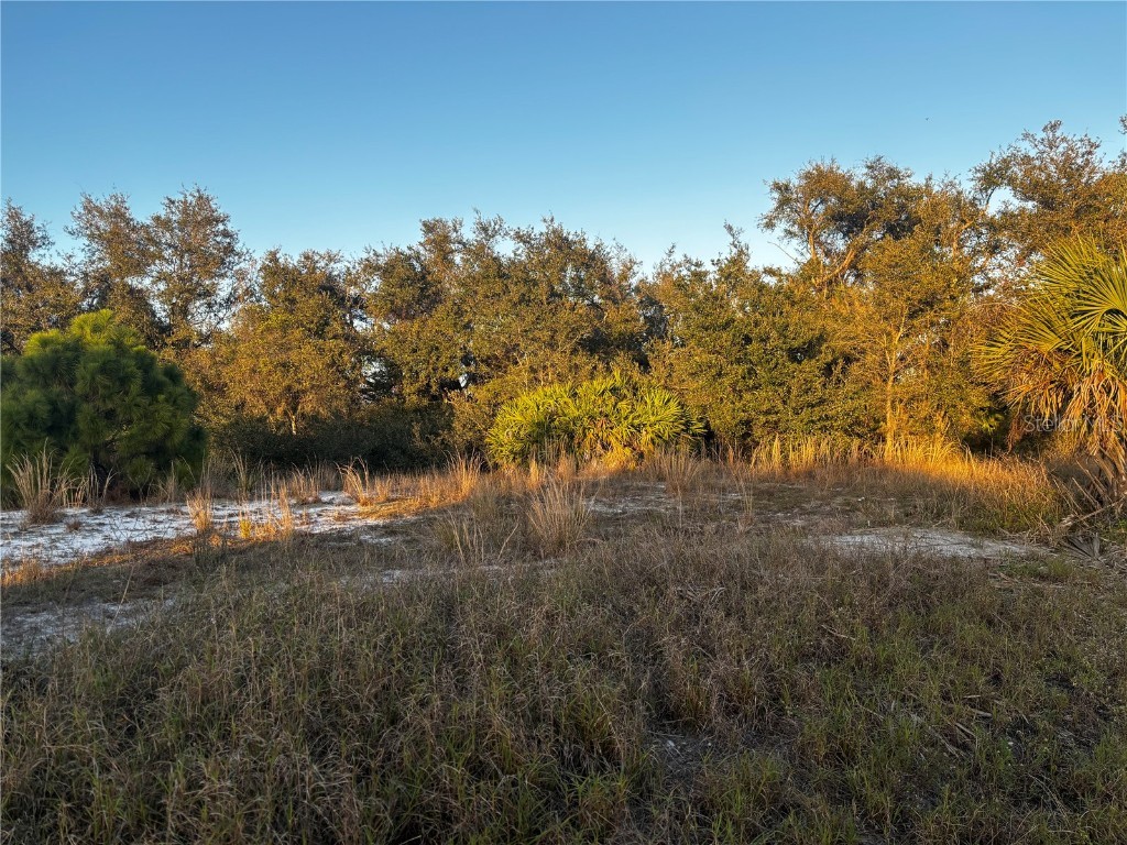 20048 Armstrong Avenue Port Charlotte FL 33954 C7487702 image1
