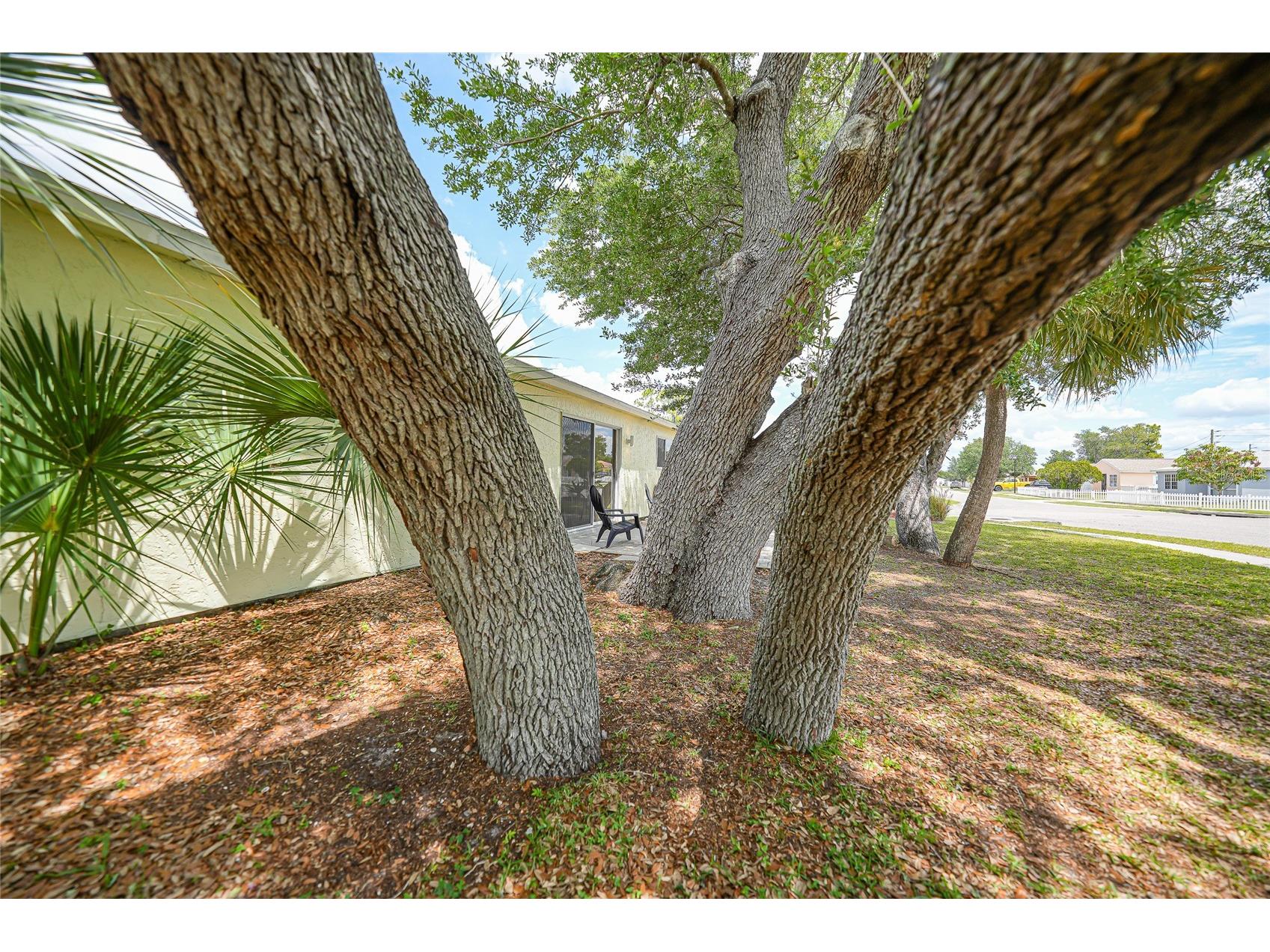 20049 Isobar Avenue Port Charlotte FL 33954 C7525207 image21