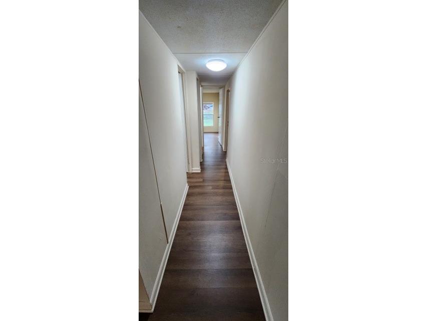 20049 Suncrest Drive Brooksville FL 34601 TB8450504 image12