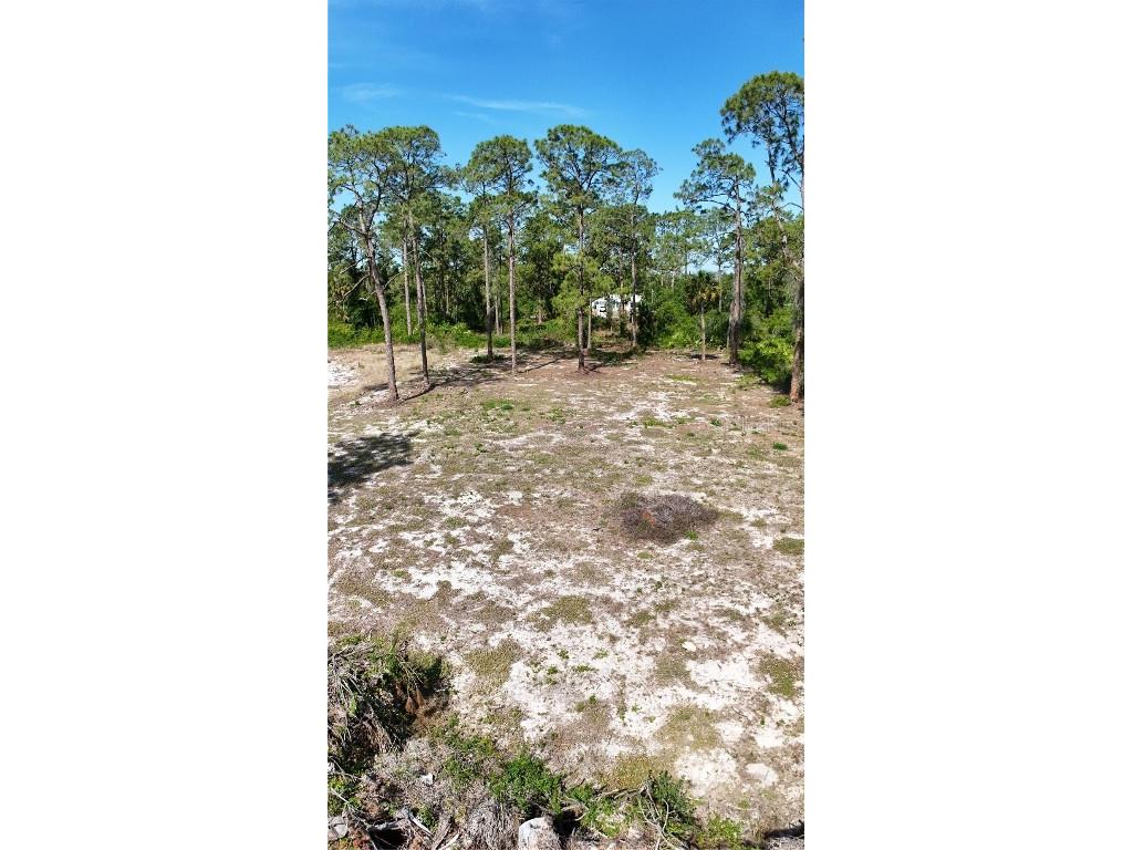 2005 Columbus Avenue Alva FL 33920 OM700307 image7