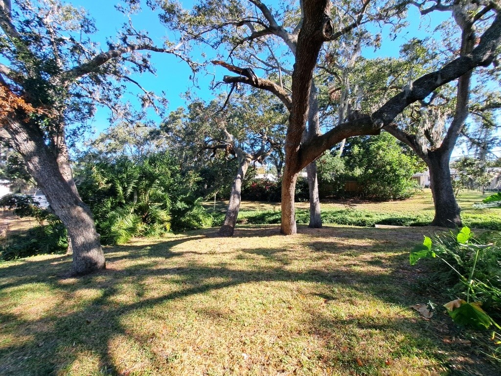 2005 Greenbriar Boulevard #1 Clearwater FL 33763 TB8441759 image12