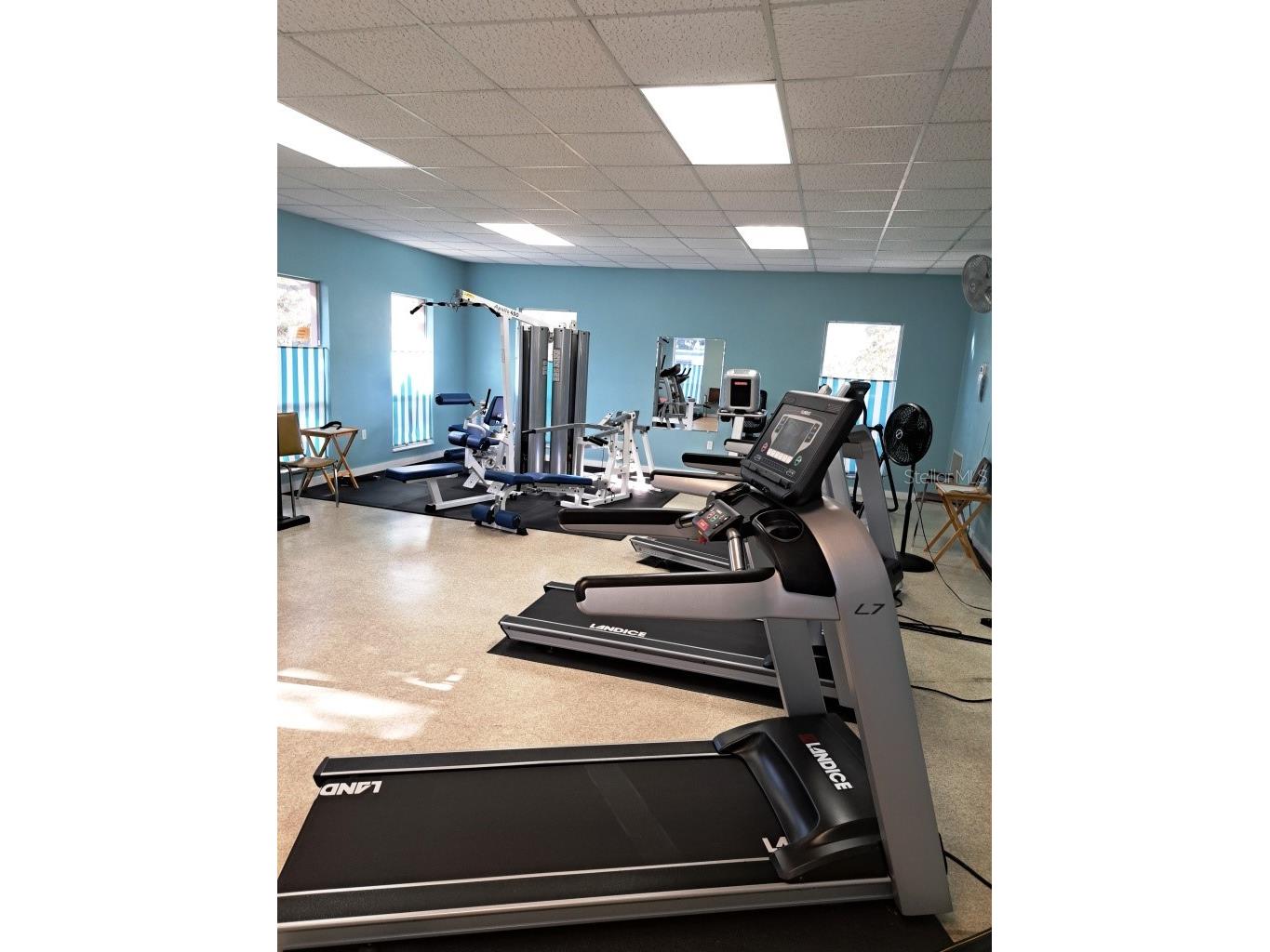 2005 Greenbriar Boulevard #1 Clearwater FL 33763 TB8441759 image21