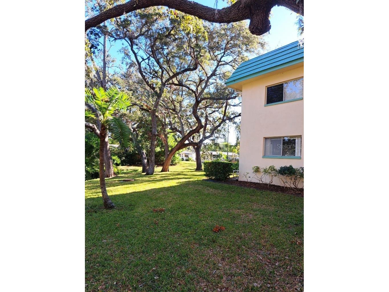 2005 Greenbriar Boulevard #1 Clearwater FL 33763 TB8441759 image4