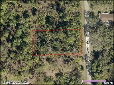 2005 Wellington Avenue Alva FL 33920 O6000250 image1