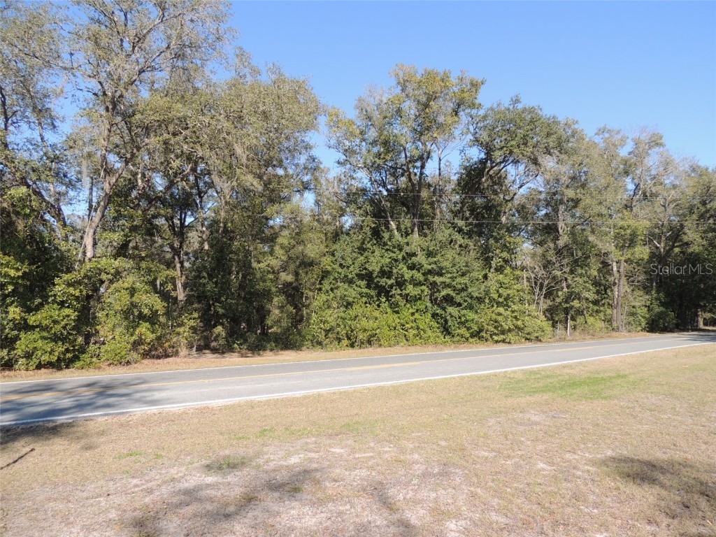 20051 SE 35th Street Morriston FL 32668 OM652232 image1