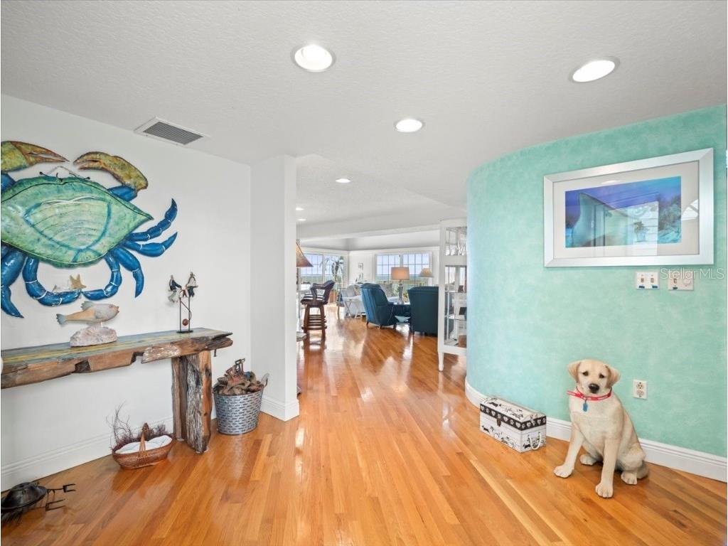 20052 Gulf Boulevard Indian Shores FL 33785 - GULF OF MEXICO U8251980 image22