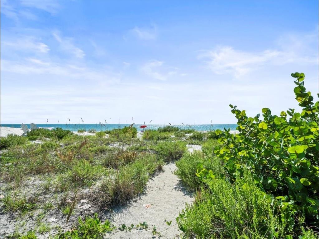 20052 Gulf Boulevard Indian Shores FL 33785 - GULF OF MEXICO U8251980 image90
