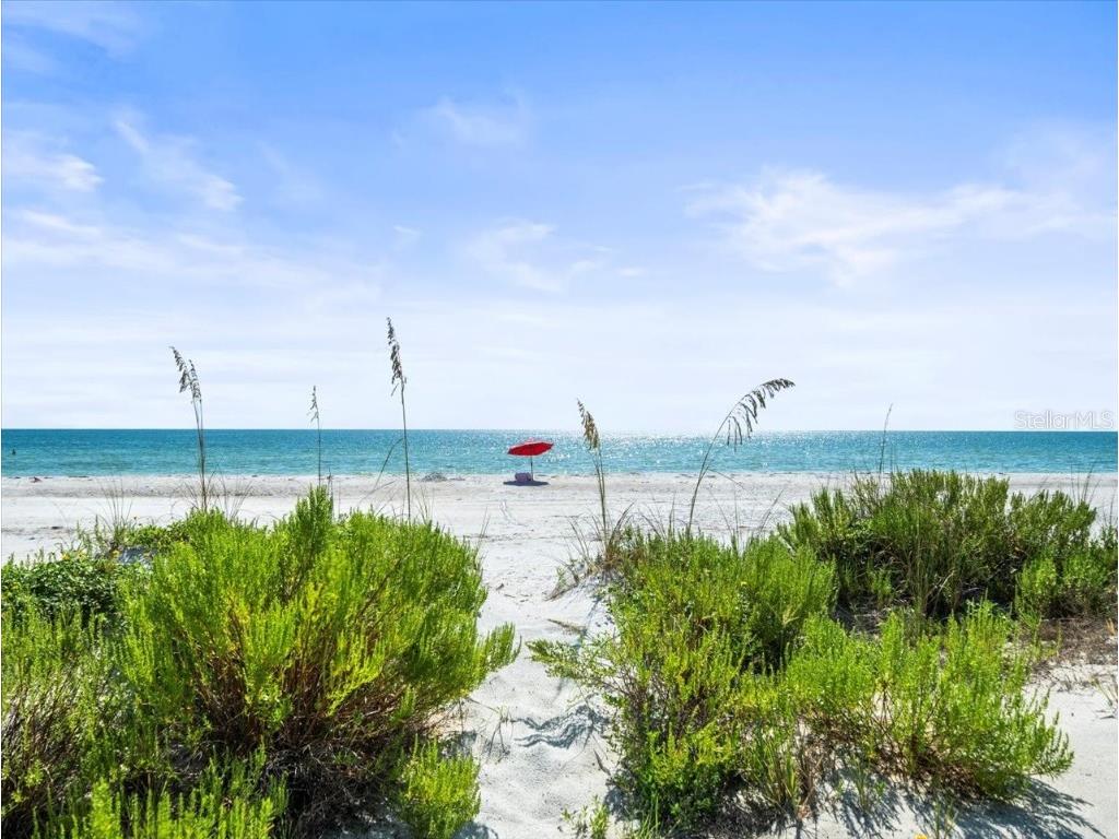 20052 Gulf Boulevard Indian Shores FL 33785 - GULF OF MEXICO U8251980 image91