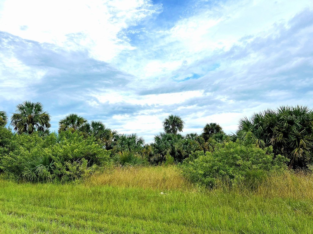 20052 Kenilworth Boulevard Port Charlotte FL 33954 TB8310375 image1