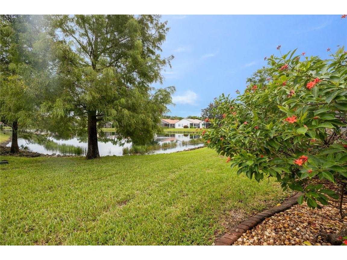 20052 Serene Meadow Lane Estero FL 33928 TB8424028 image66