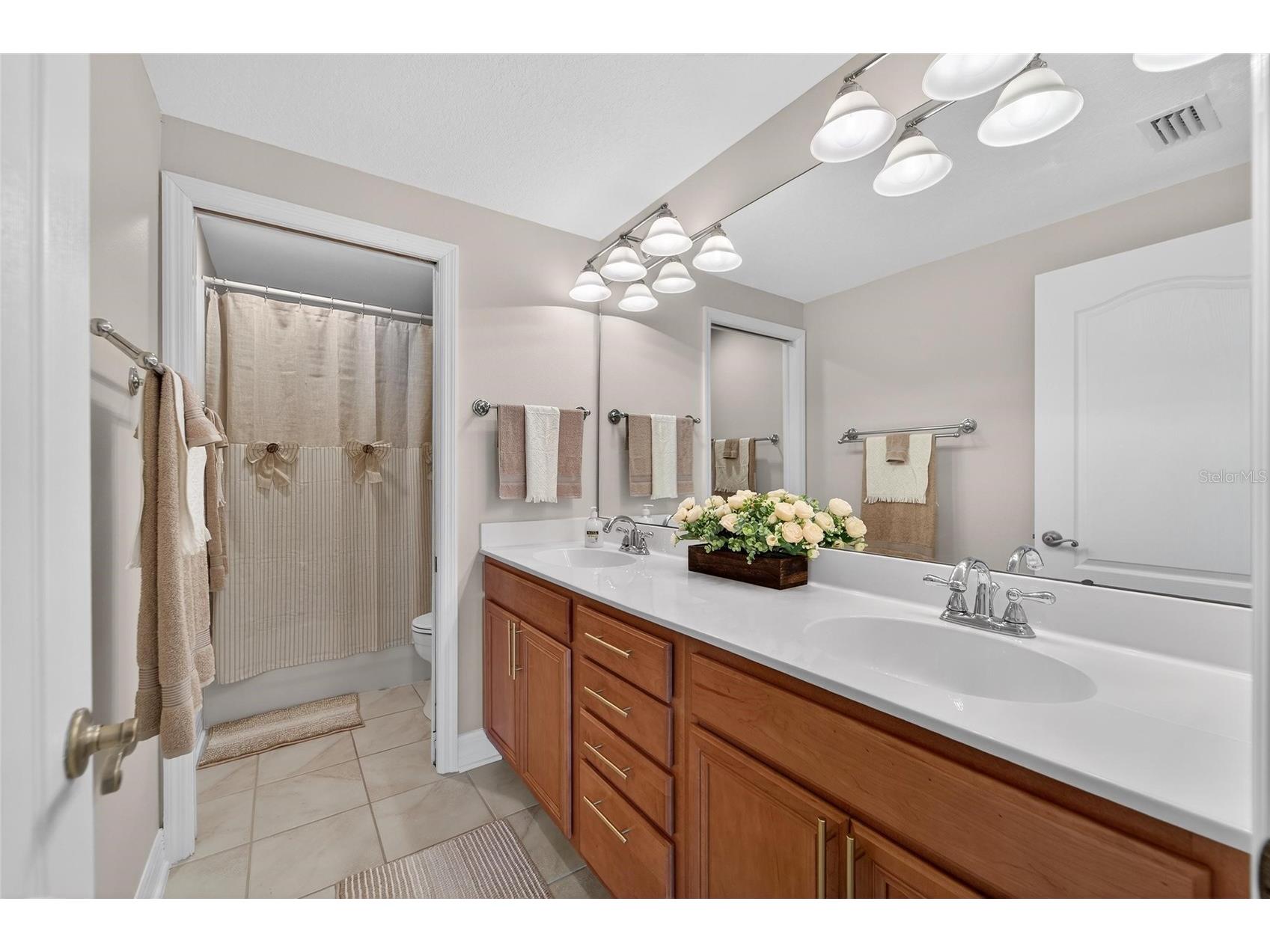 20053 Heritage Point Drive Tampa FL 33647 TB8493814 image36
