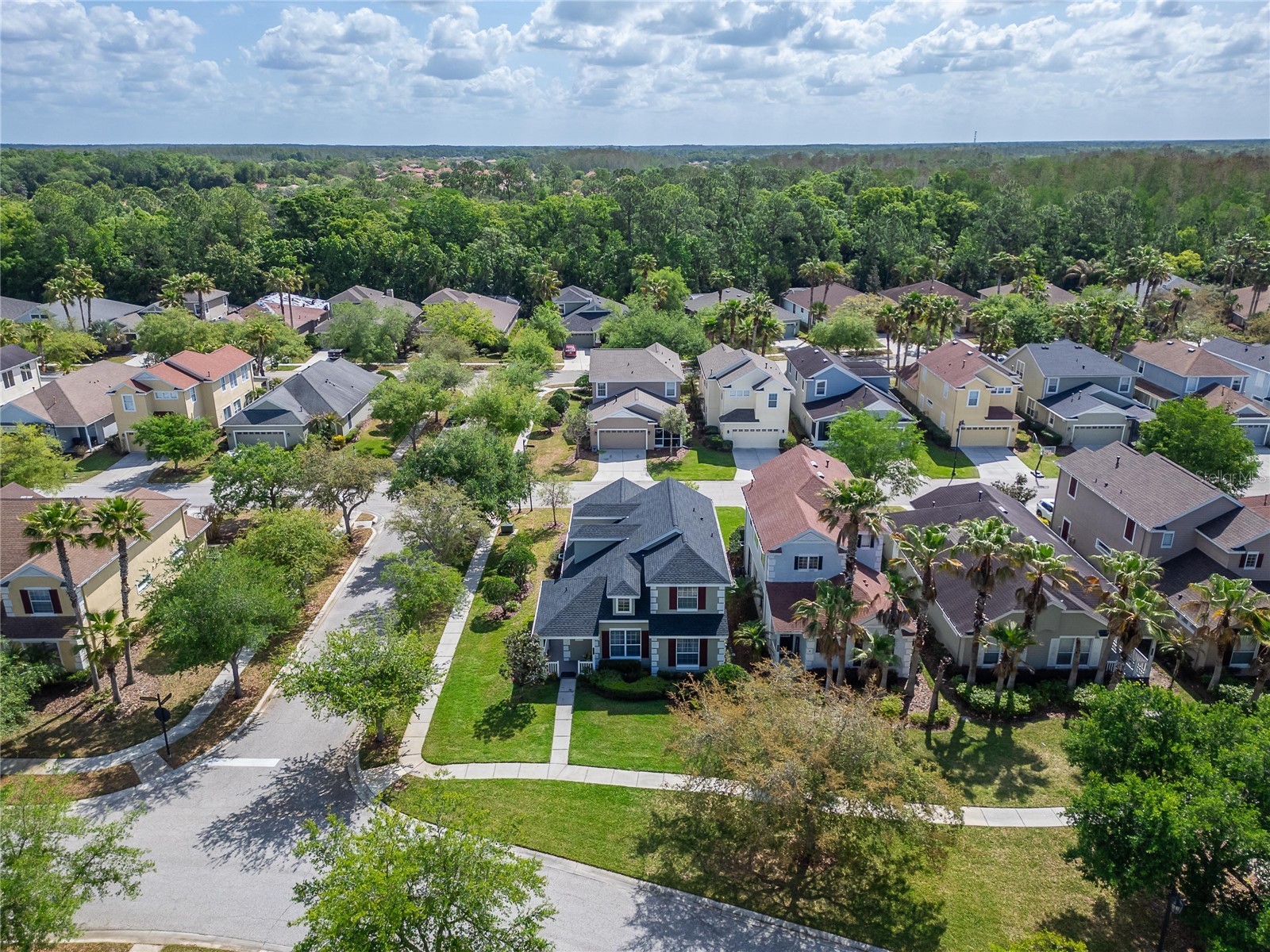 20053 Heritage Point Drive Tampa FL 33647 TB8493814 image47