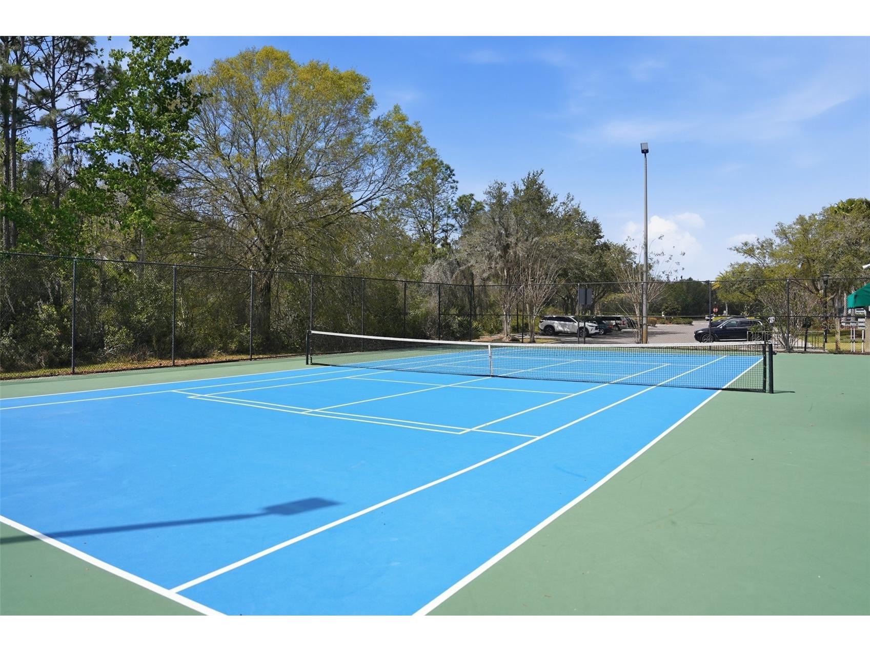 20054 Nob Oak Avenue Tampa FL 33647 O6388056 image34