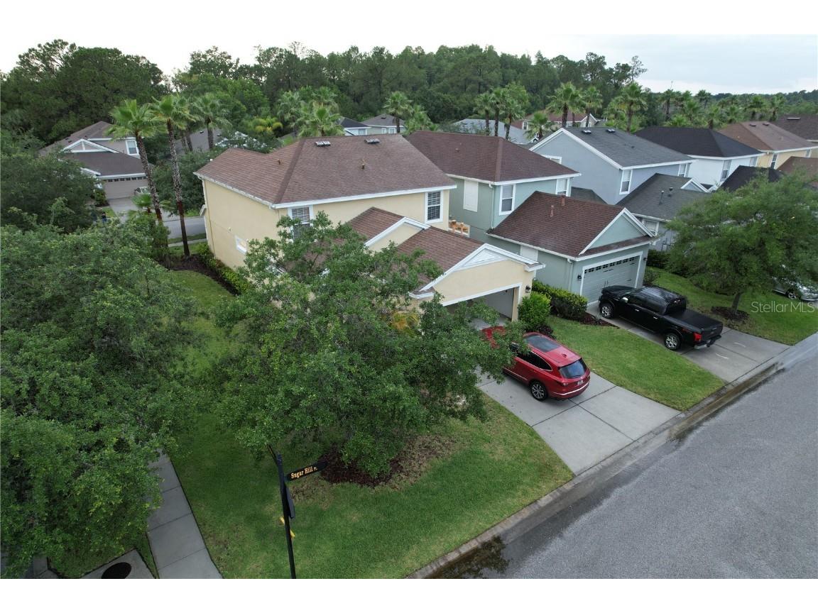 20055 Heritage Point Drive Tampa FL 33647 U8197490 image14