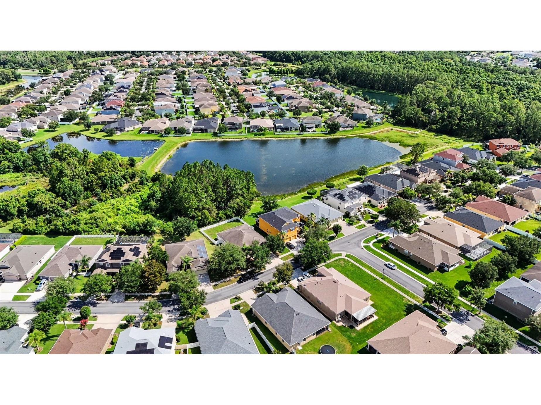 20057 Oakflower Avenue Tampa FL 33647 TB8516780 image29
