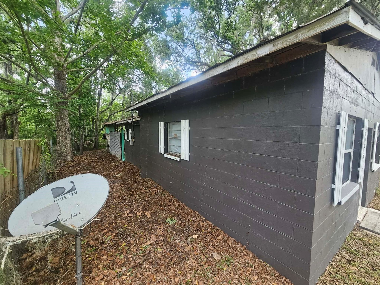 20059 Manecke Road Brooksville FL 34601 OM724071 image3