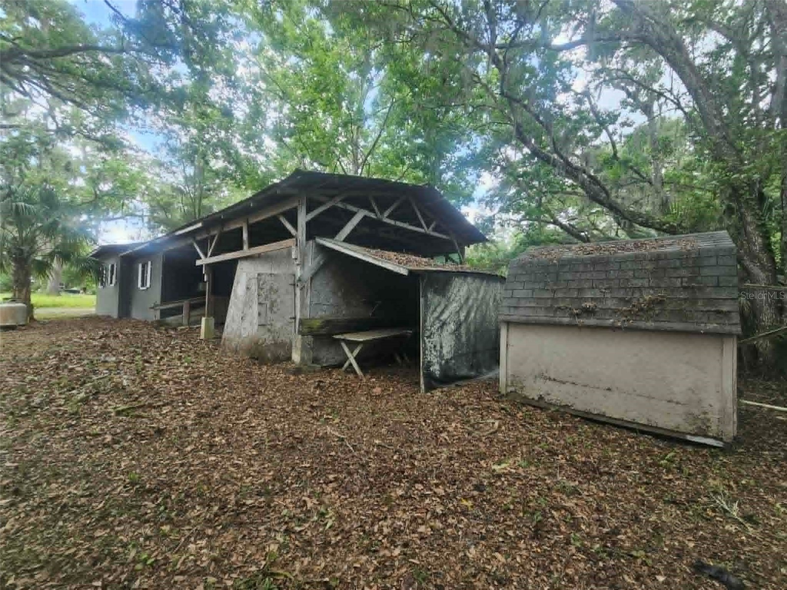 20059 Manecke Road Brooksville FL 34601 OM724071 image6