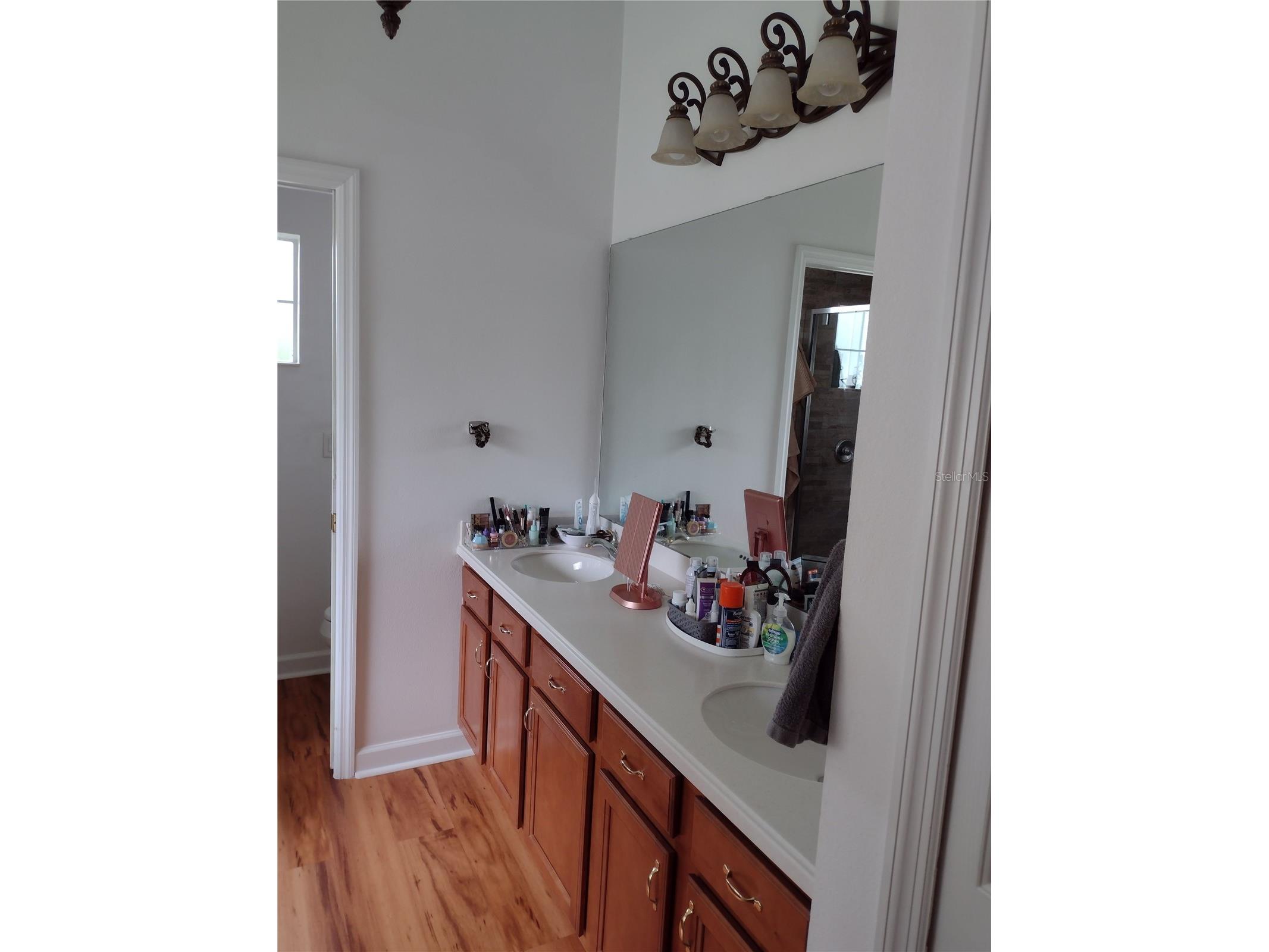 2006 Bayside Avenue Mount Dora FL 32757 G5109067 image18