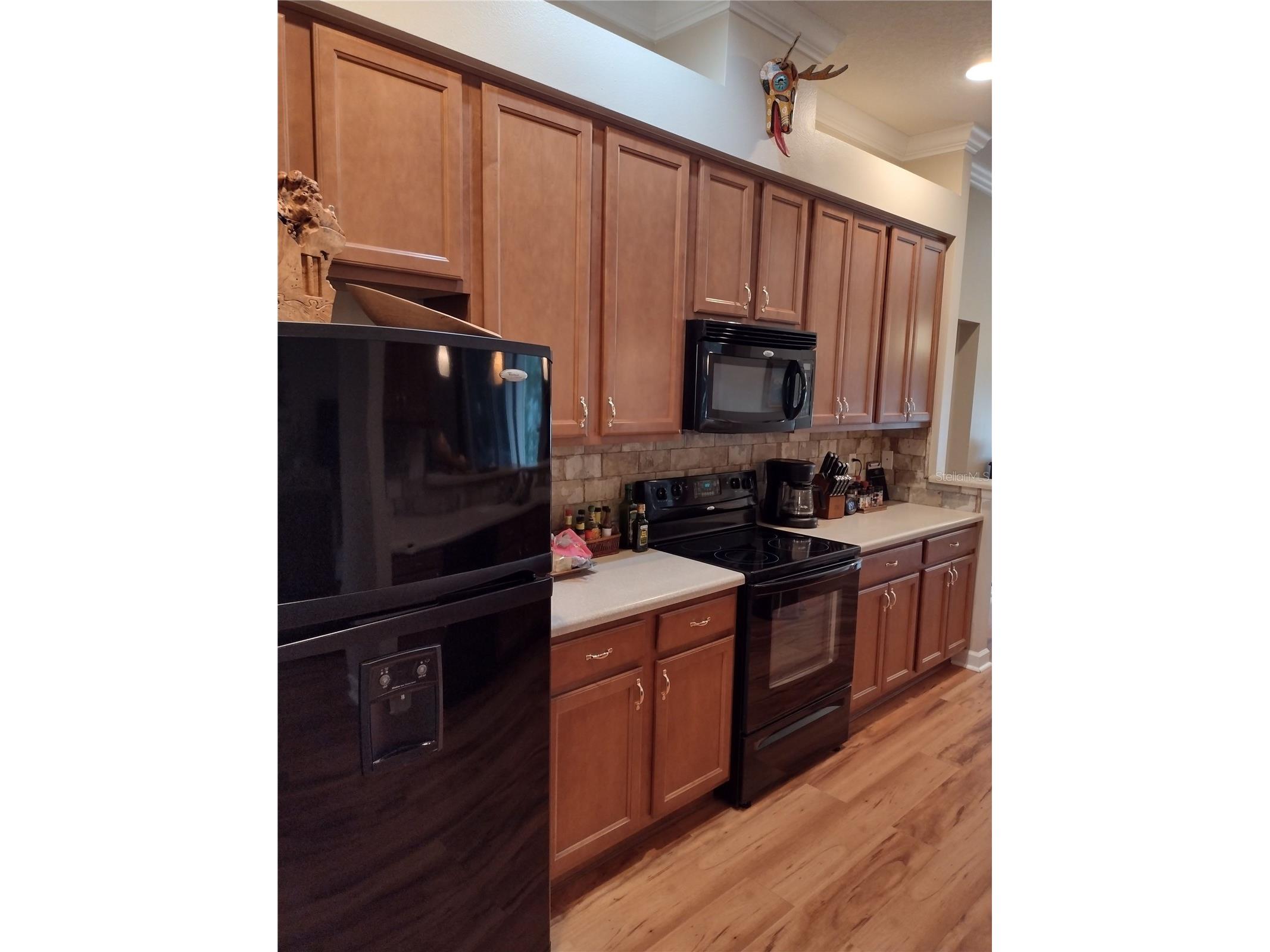 2006 Bayside Avenue Mount Dora FL 32757 G5109067 image7