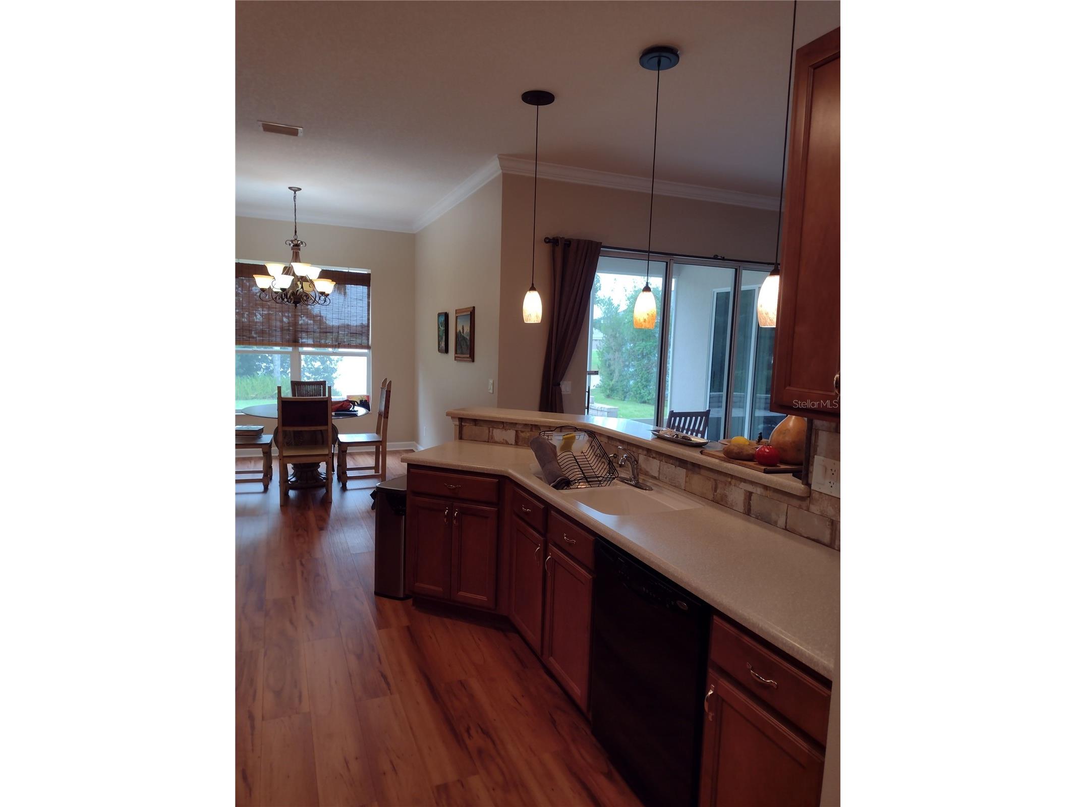 2006 Bayside Avenue Mount Dora FL 32757 G5109067 image8