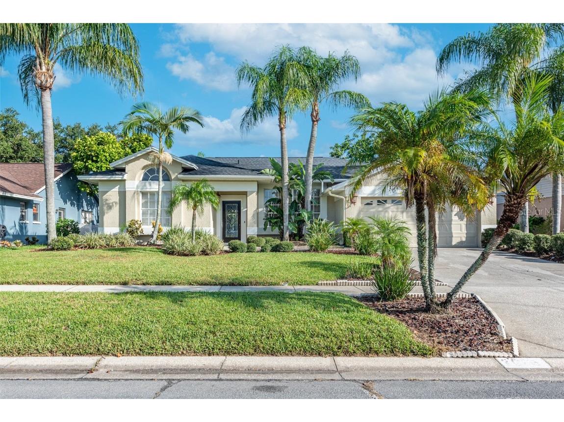 2006 Dumont Drive Valrico FL 33596 T3457737 image1