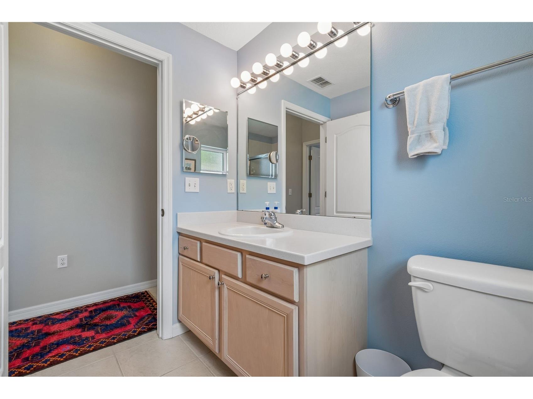 2006 Grantham Greens Drive #0 Sun City Center FL 33573 TB8495346 image35