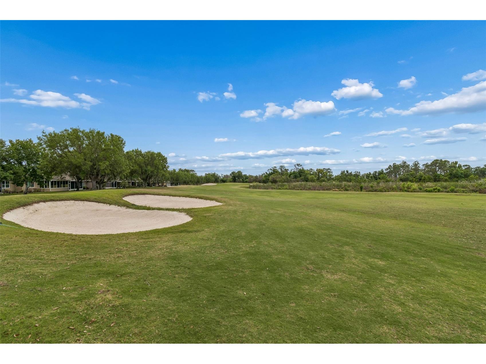 2006 Grantham Greens Drive #0 Sun City Center FL 33573 TB8495346 image46