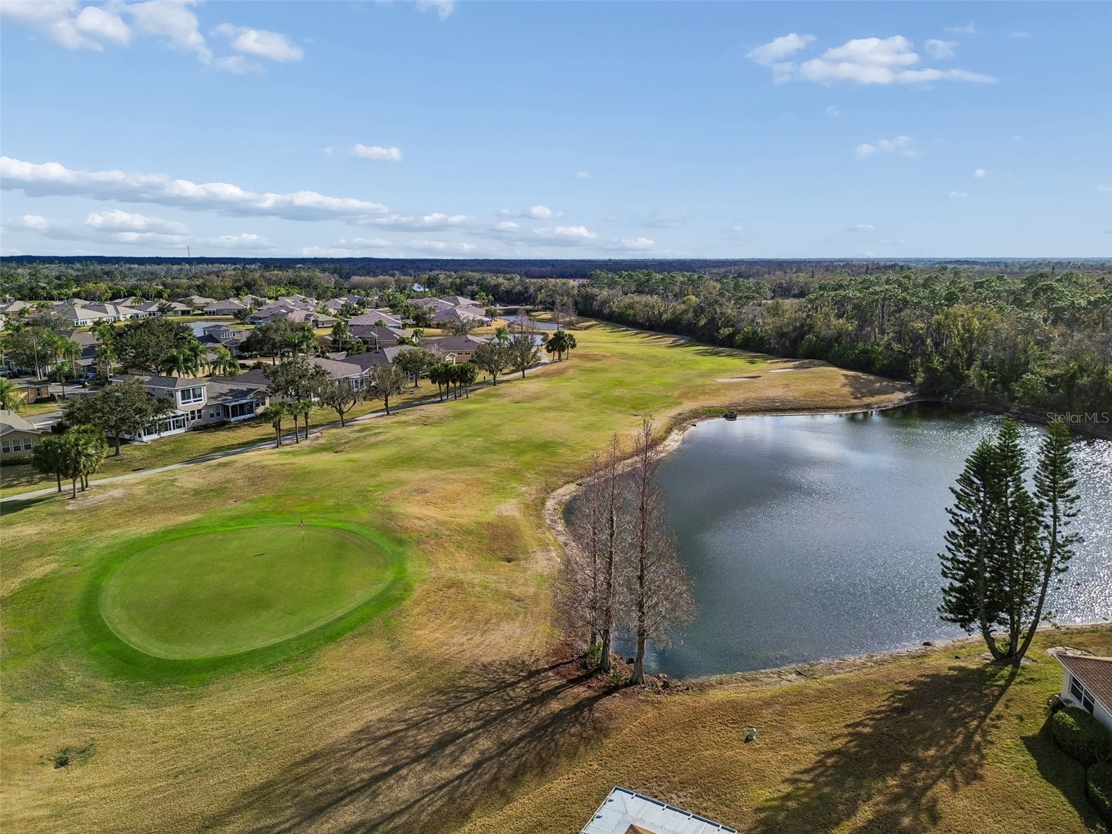 2006 Grantham Greens Drive #0 Sun City Center FL 33573 TB8495346 image50