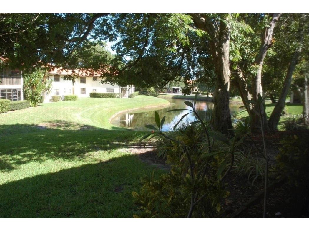 2006 Hammock Pine Boulevard #2006 Clearwater FL 33761 U8243658 image1