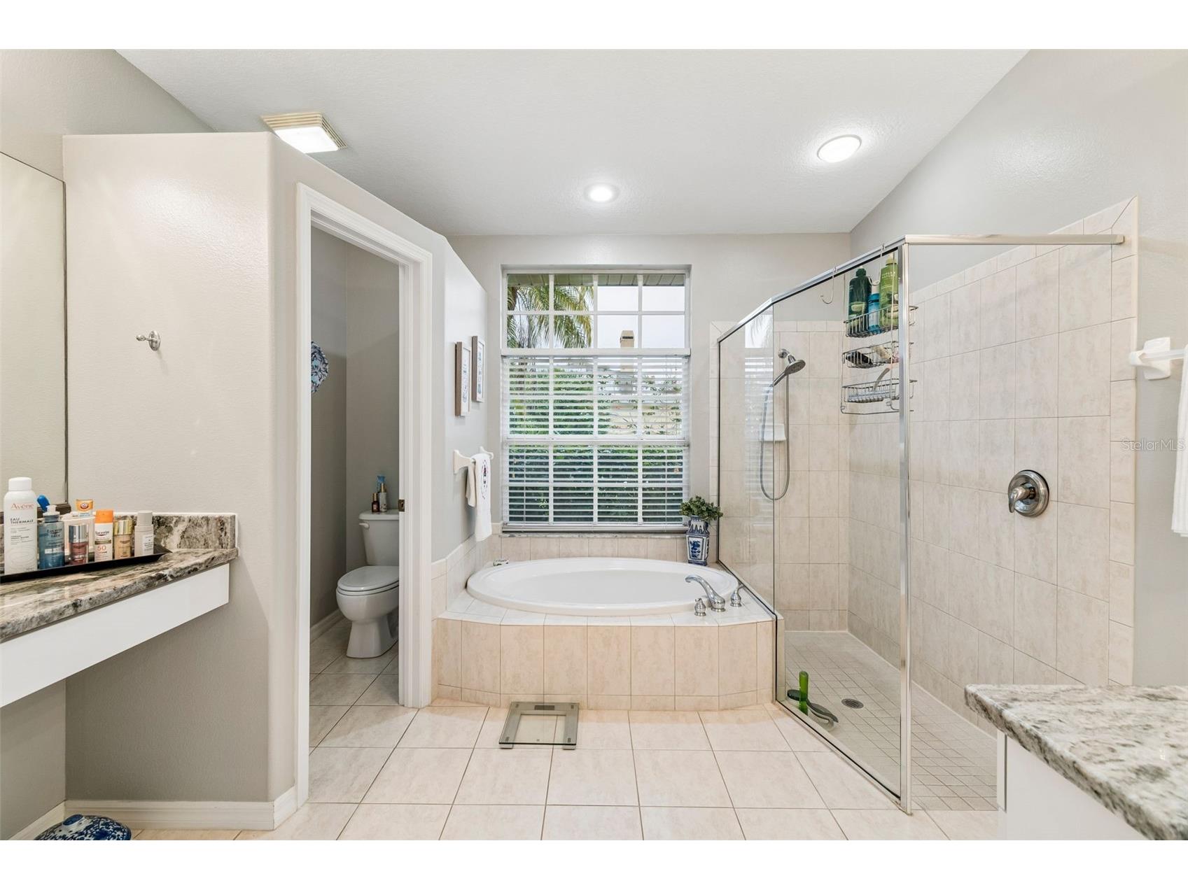 2006 Meadow Rue Court Trinity FL 34655 TB8508442 image37