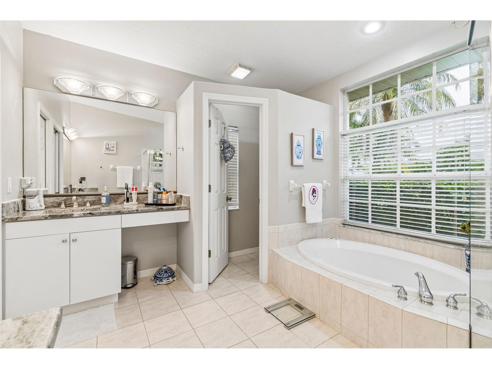 2006 Meadow Rue Court Trinity FL 34655 TB8508442 image38