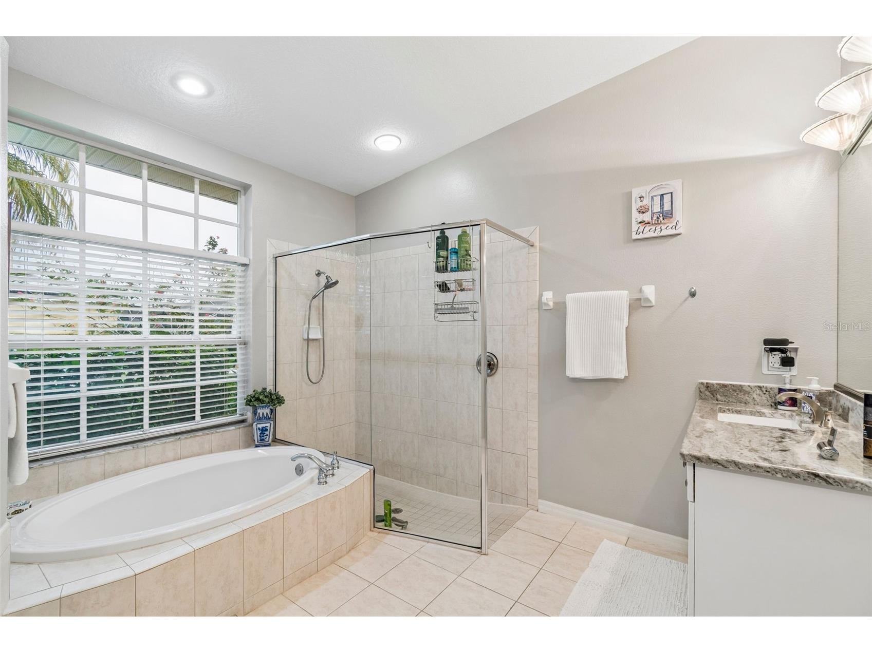 2006 Meadow Rue Court Trinity FL 34655 TB8508442 image39