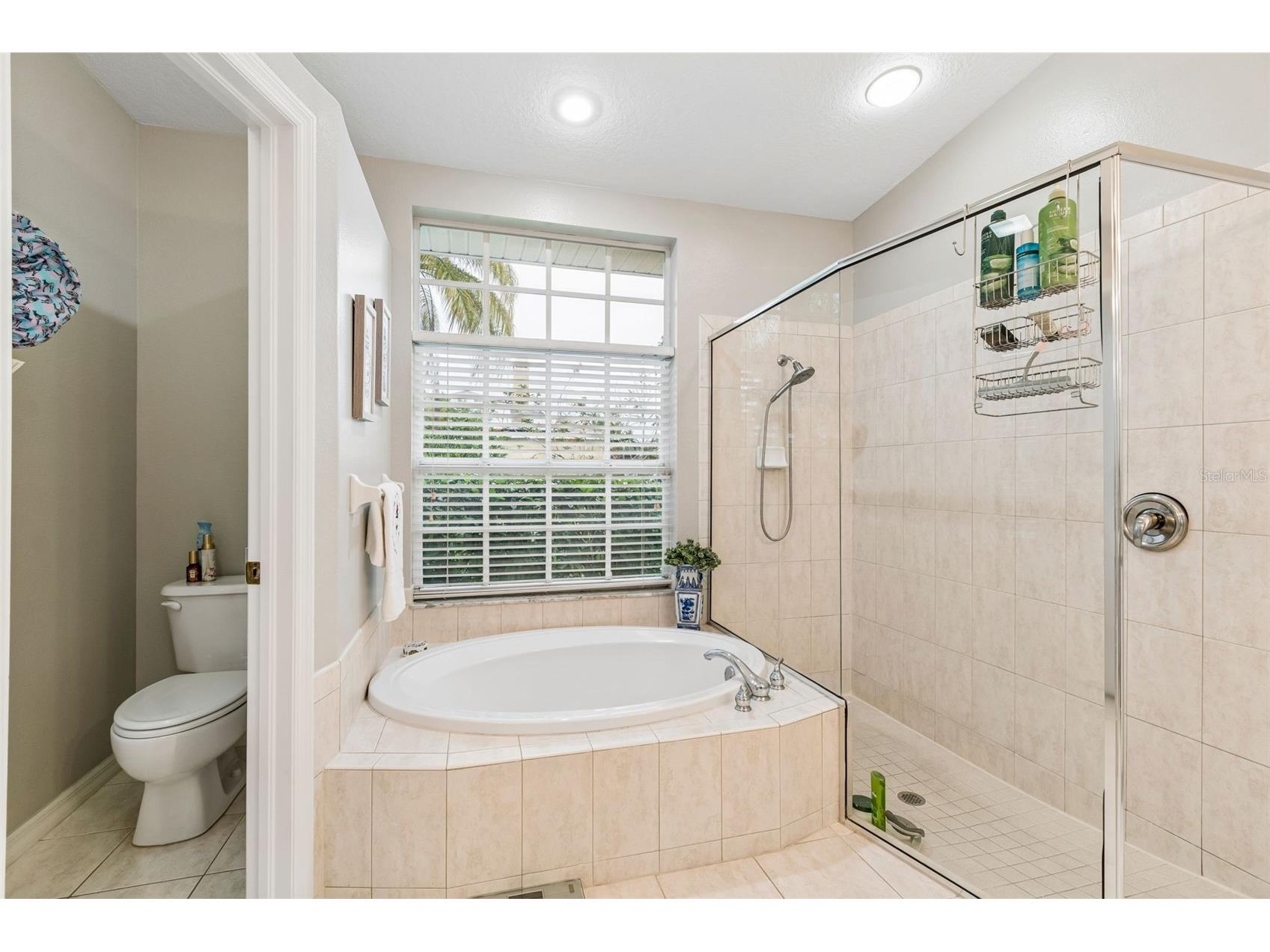 2006 Meadow Rue Court Trinity FL 34655 TB8508442 image40