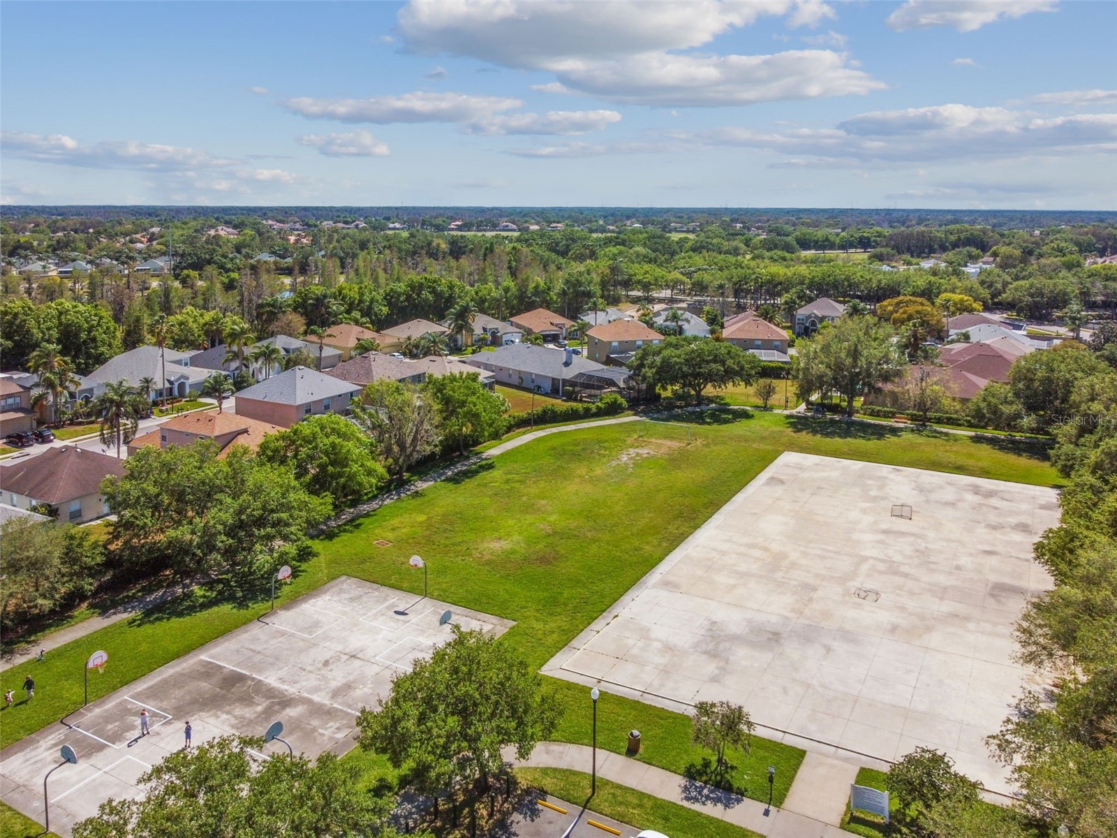 2006 Meadow Rue Court Trinity FL 34655 TB8508442 image67