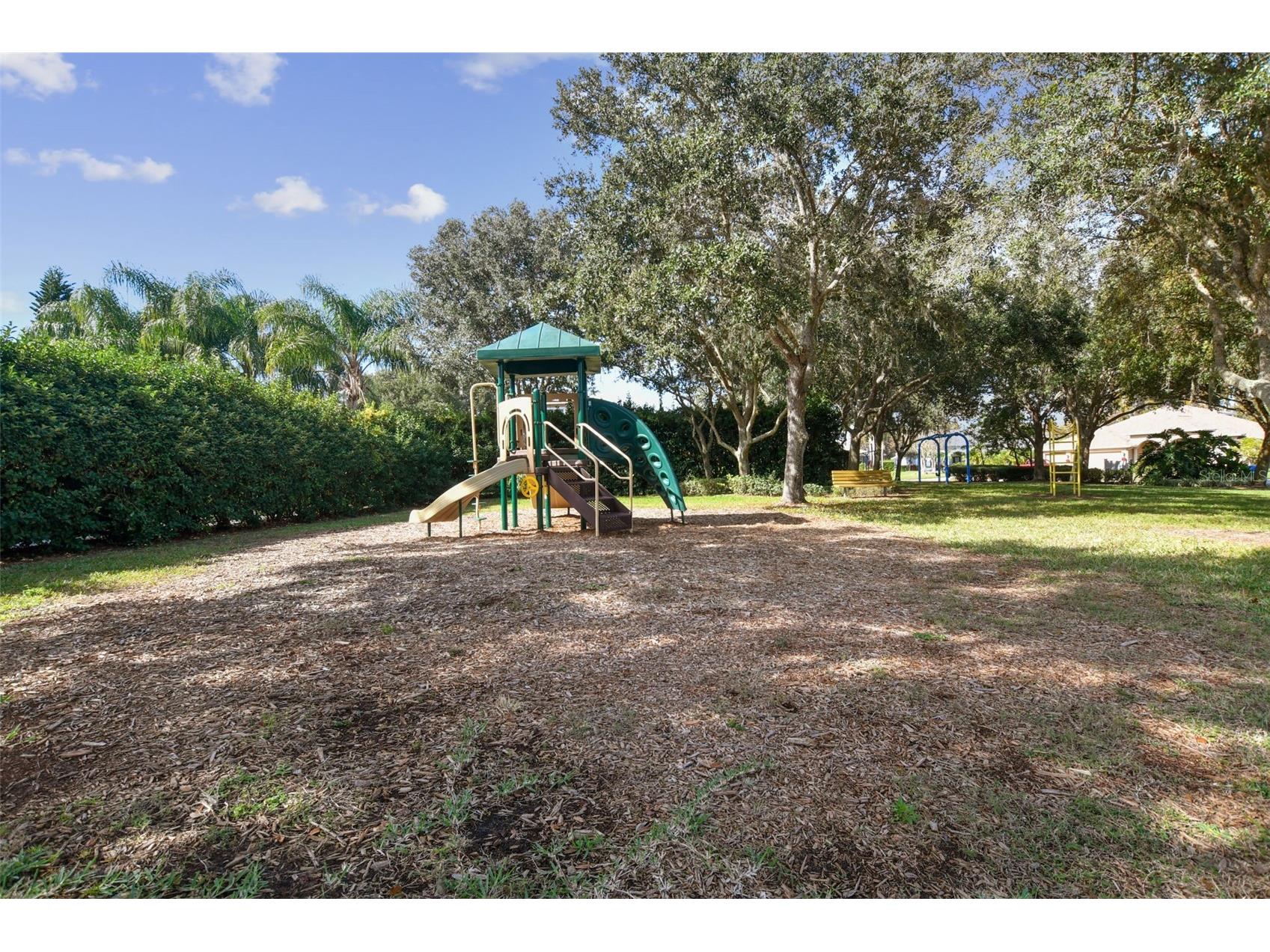 2006 Meadow Rue Court Trinity FL 34655 TB8508442 image82