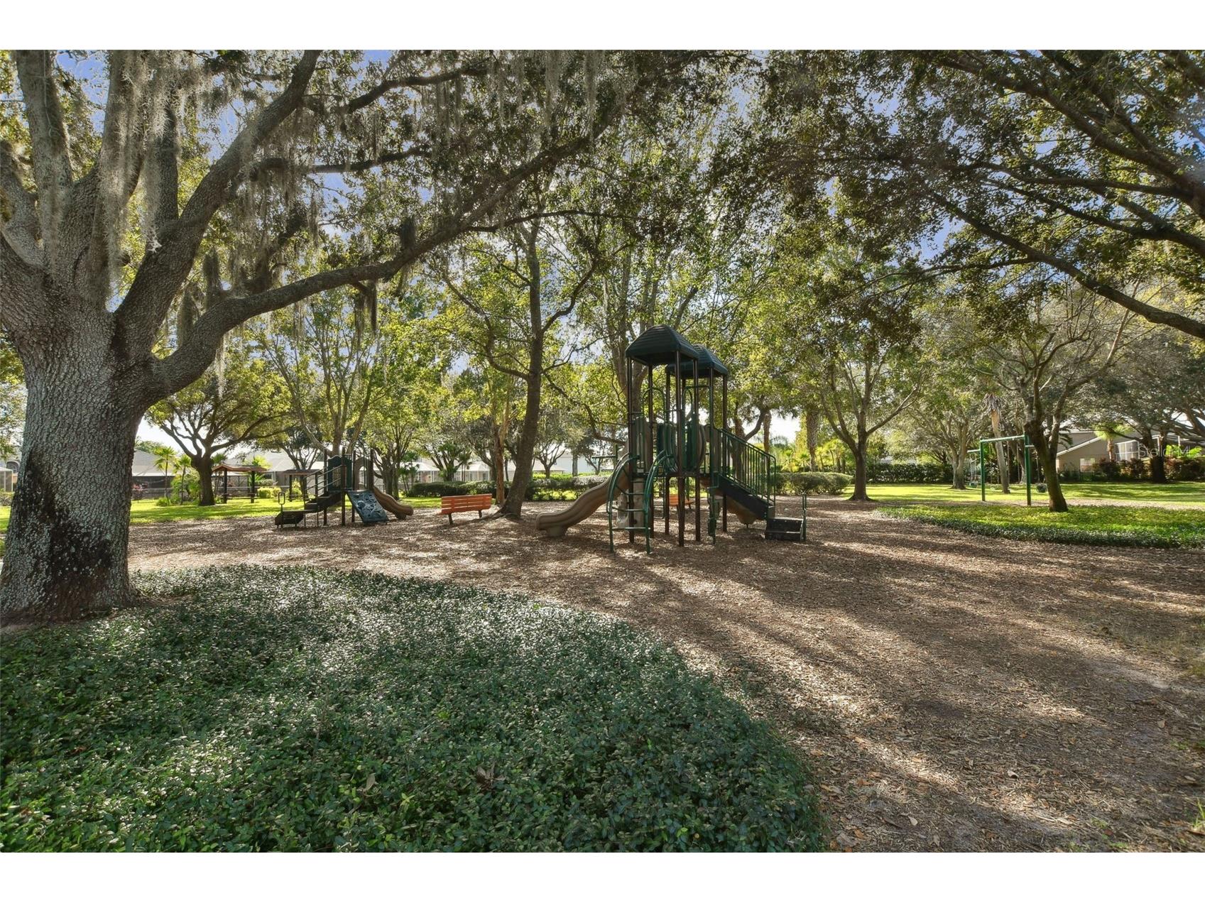 2006 Meadow Rue Court Trinity FL 34655 TB8508442 image84