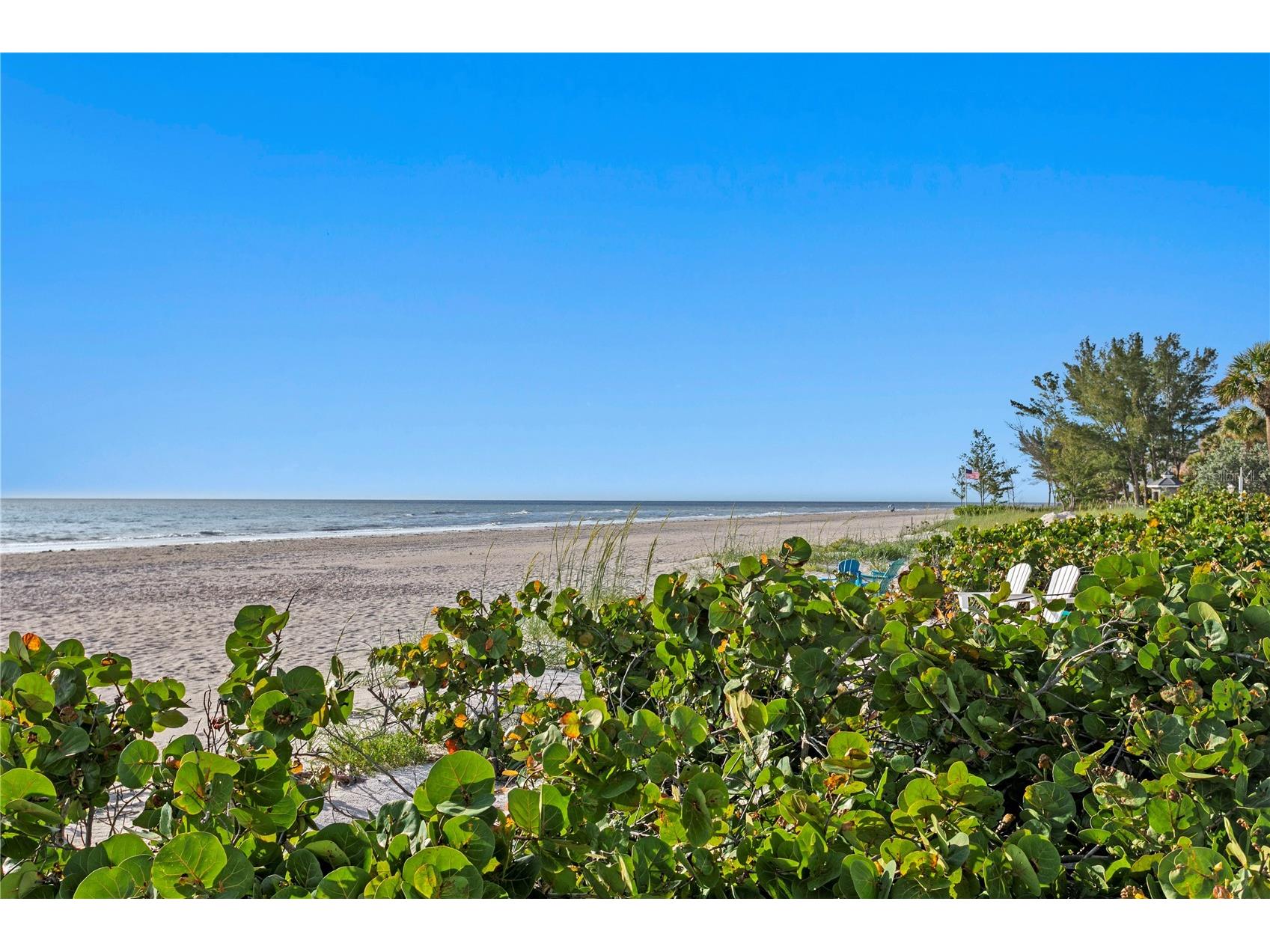 20060 Gulf Boulevard Indian Shores FL 33785 - GULF OF AMERICA TB8400575 image7