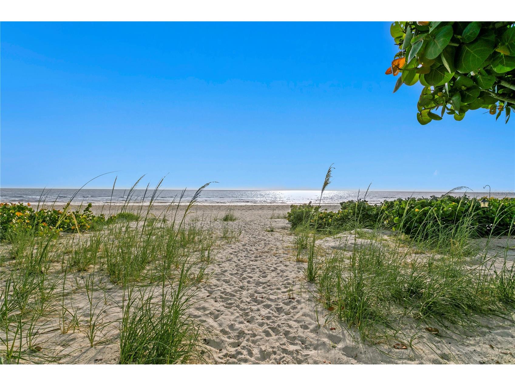 20060 Gulf Boulevard Indian Shores FL 33785 - GULF OF AMERICA TB8400575 image79