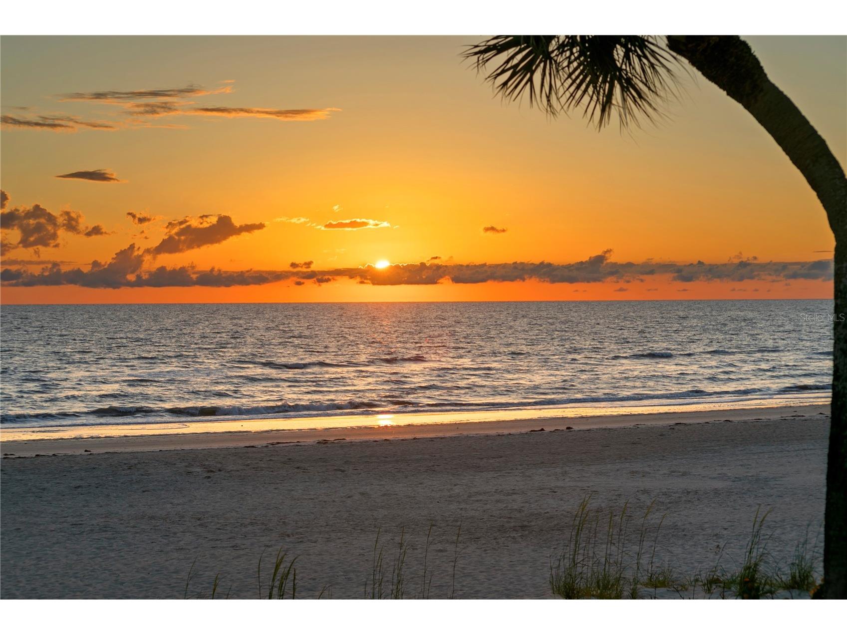 20060 Gulf Boulevard Indian Shores FL 33785 - GULF OF AMERICA TB8400575 image80