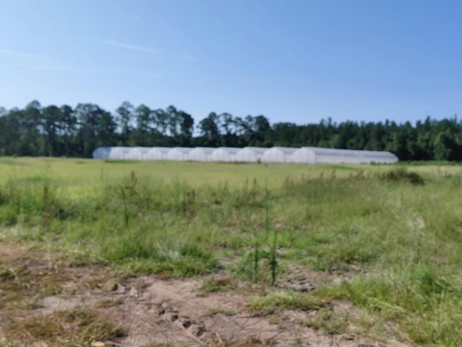 20065 SE Hawthorne Road Hawthorne FL 32640 GC540840 image10