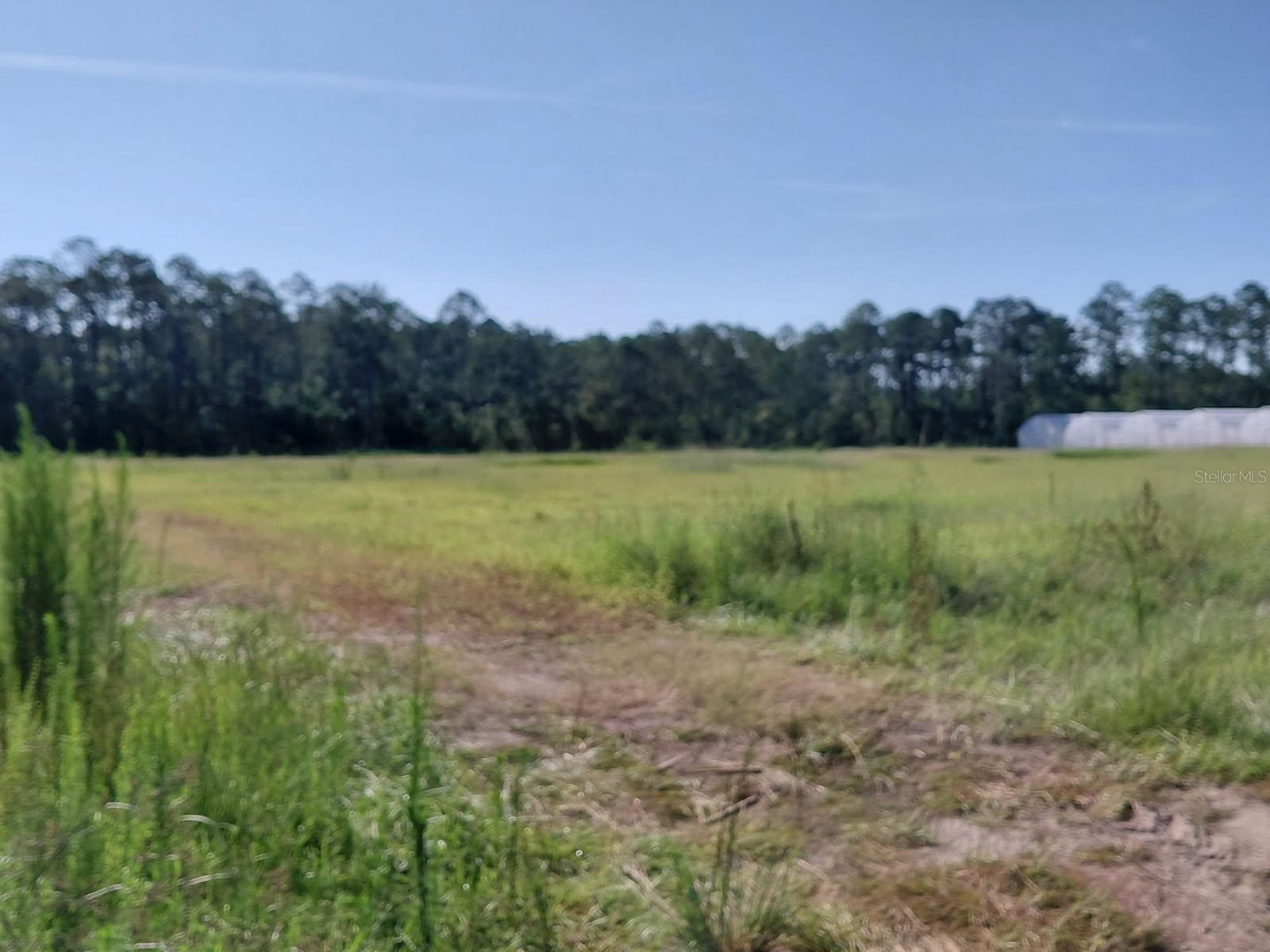 20065 SE Hawthorne Road Hawthorne FL 32640 GC540840 image8
